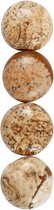 cabochons Jasper rond 14 mm multicolor 4 stuks