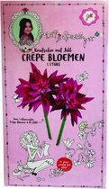 knutselen met Jill - bloemen meisjes 5-delig