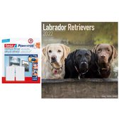 Huisdieren/dieren kalender 2022 Labrador Retriever honden 30 cm incl. 2 zelfklevende ophanghaken - Maandkalenders/jaarkalenders