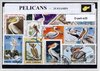 Afbeelding van het spelletje Pelikanen – Luxe postzegel pakket (A6 formaat) : collectie van 25 verschillende postzegels van pelikanen – kan als ansichtkaart in een A6 envelop - authentiek cadeau - kado - geschenk - kaart - Pelecanidae - watervogels - grote vogel - roze