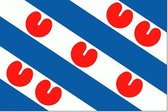 Friese vlag 40x60cm