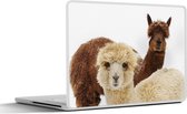 Laptop sticker - 15.6 inch - Lama - Dier - Vacht - 36x27,5cm - Laptopstickers - Laptop skin - Cover