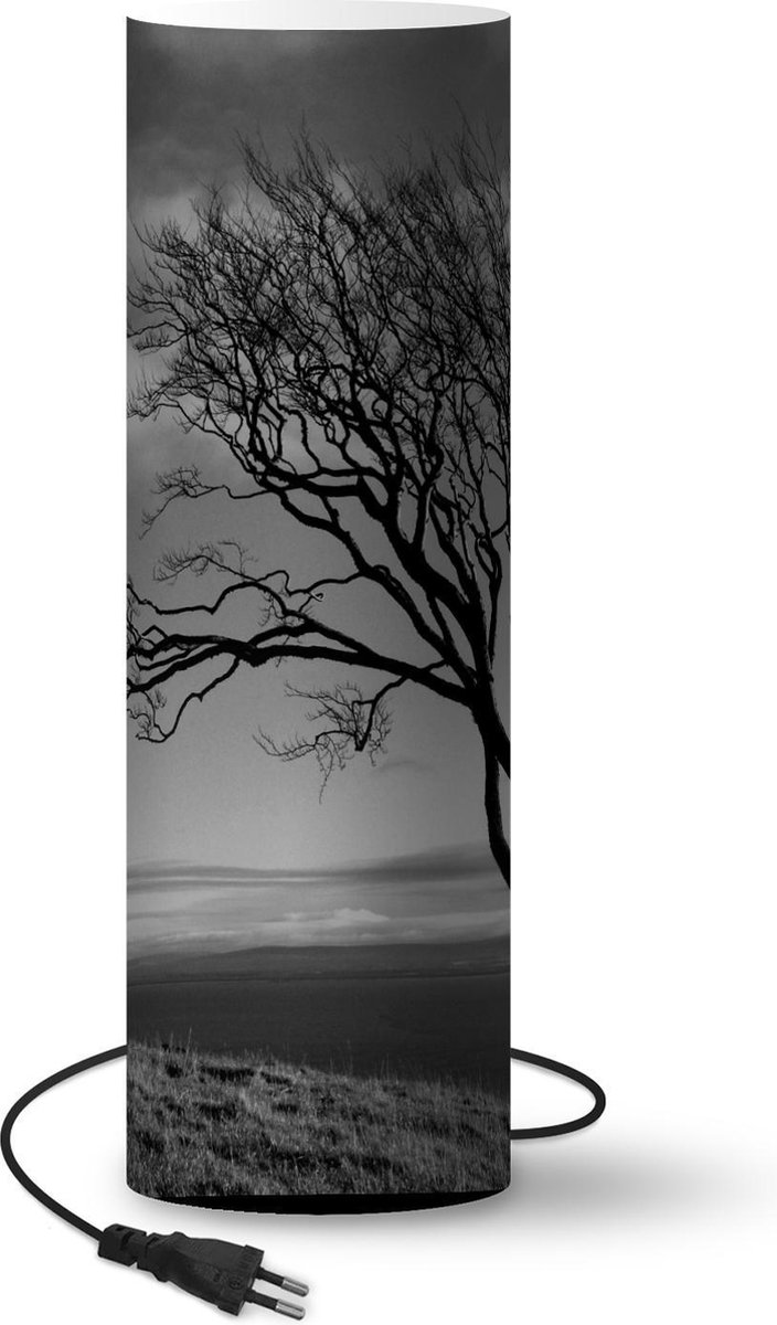 Lamp - Nachtlampje - Tafellamp slaapkamer - Winterfoto beukenboom zwart-wit - 70 cm hoog - Ø22.3 cm - Inclusief LED lamp