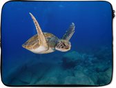 Laptophoes 15.6 inch - Een groene schildpad zwemt in blauw water - Laptop sleeve - Binnenmaat 39,5x29,5 cm - Zwarte achterkant