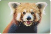 Muismat Rode panda - Gelukkige rode panda muismat rubber - 27x18 cm - Muismat met foto