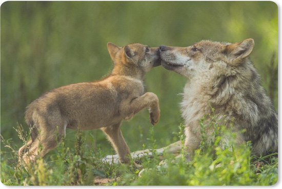 Wat Is De Wolven Groet