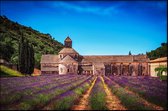 Senanque Abbey - Walljar - Wanddecoratie - Poster