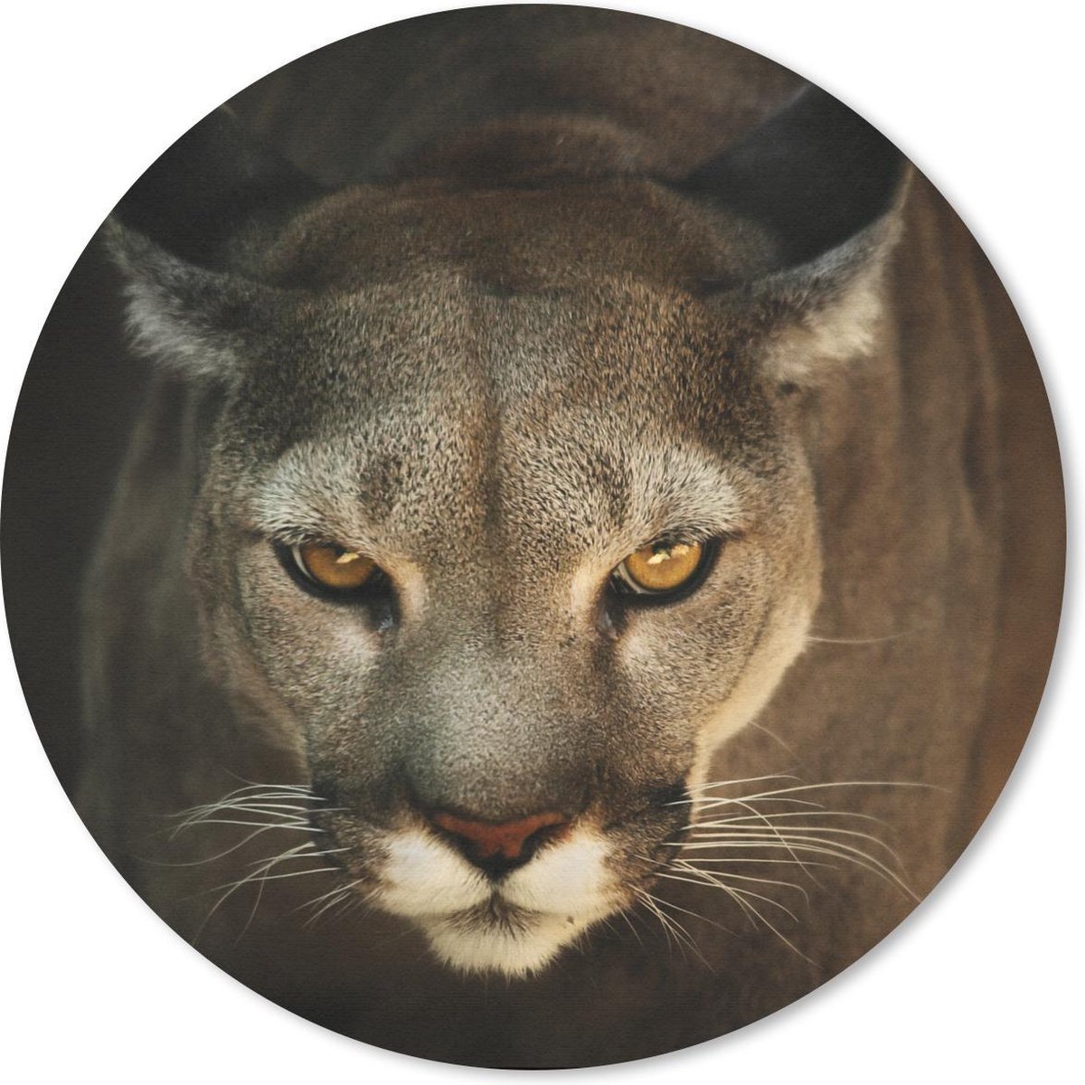 Muismat rond 50x50 cm - Mousepad Close-up poema - Ronde muismatten