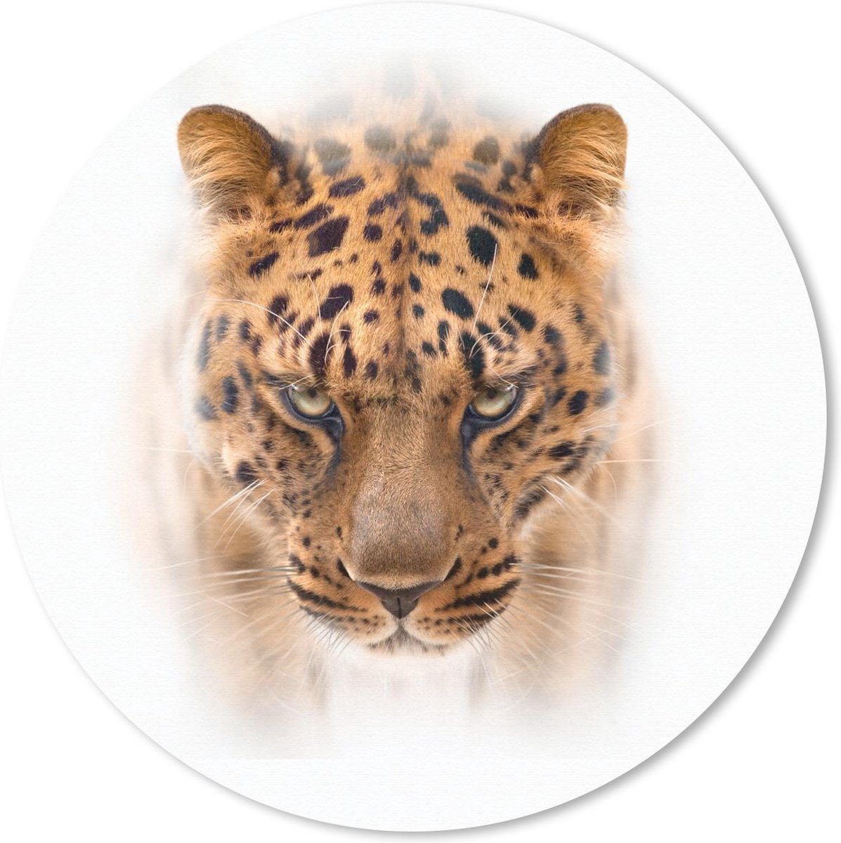 Muismat rond 50x50 cm - Mousepad Panter - Portret - Wit - Ronde muismatten