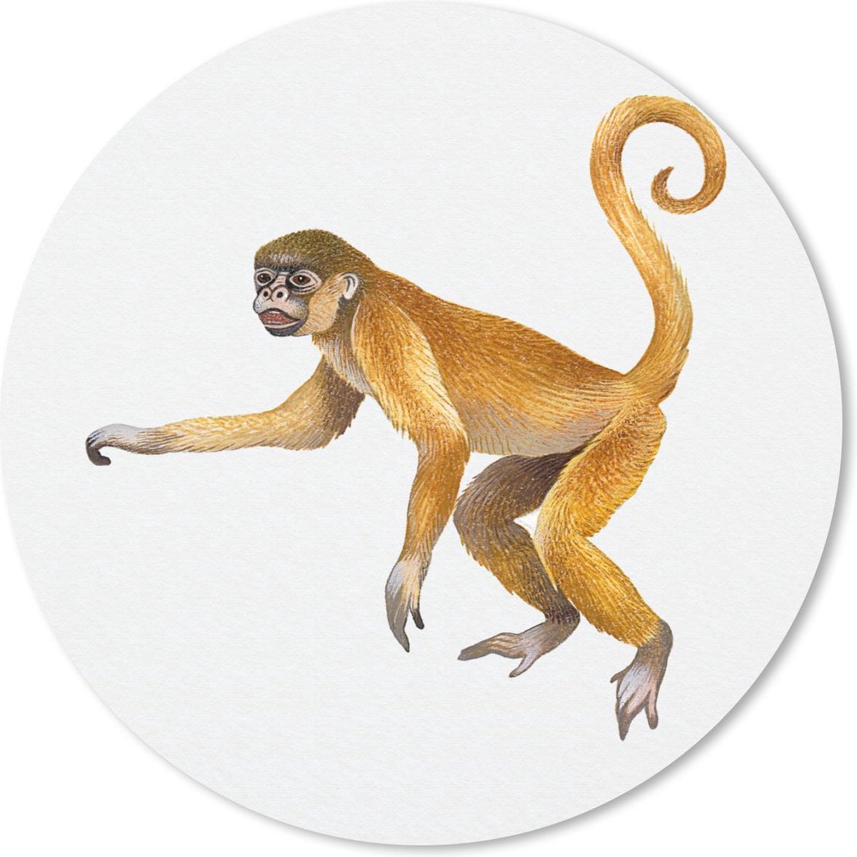 Muismat rond 40x40 cm - Mousepad Aap - Vacht - Waterverf - Ronde muismatten
