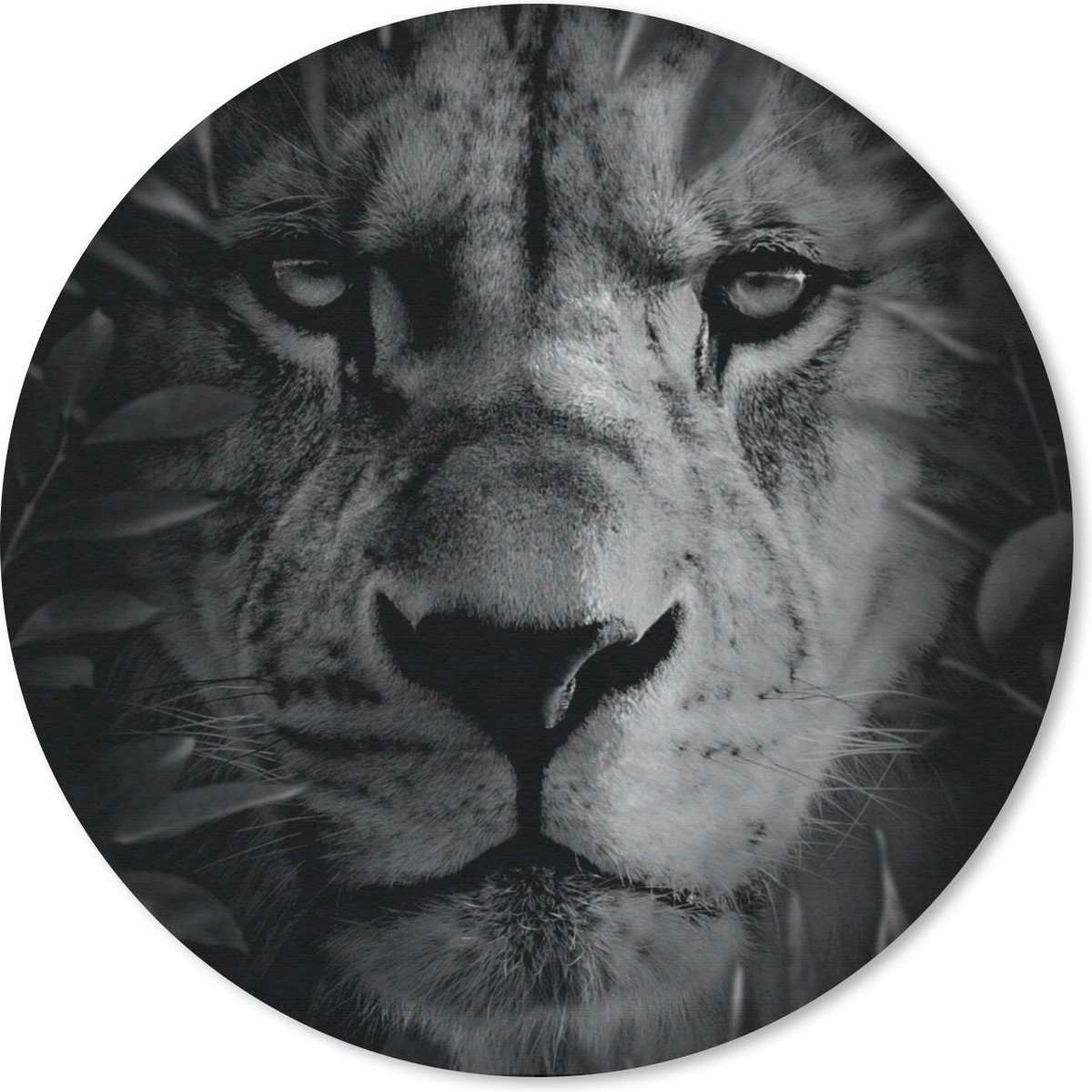 Muismat rond 40x40 cm - Mousepad Planten - Leeuw - Natuur - Zwart - Wit - Ronde muismatten