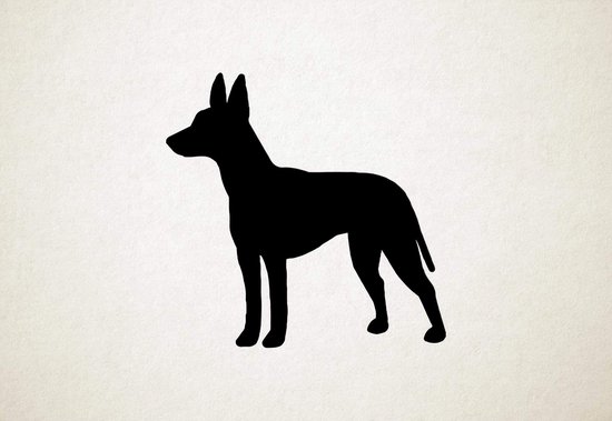 Manchester Terrier - Silhouette hond - S - 45x45cm - Zwart - wanddecoratie