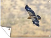 Affiche jardin - Toile jardin - Posters de jardin extérieur - Aigle - Mouche - Terre - 120x90 cm - Jardin