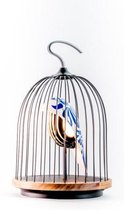 DAQI CONCEPT - JinGoo Speaker feather china