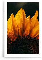 Walljar - Close-up Zonnebloem - Muurdecoratie - Poster