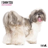 Shih Tzu - Kalender 2022