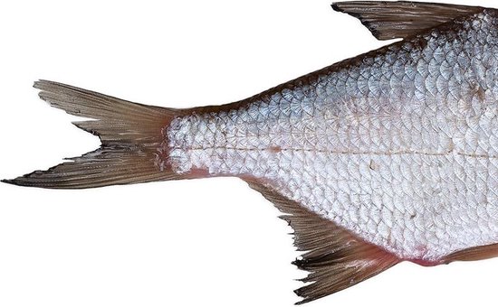 Prebaits Voorn/Kolblei Klein - Dood aas - Wit — afbeelding 4