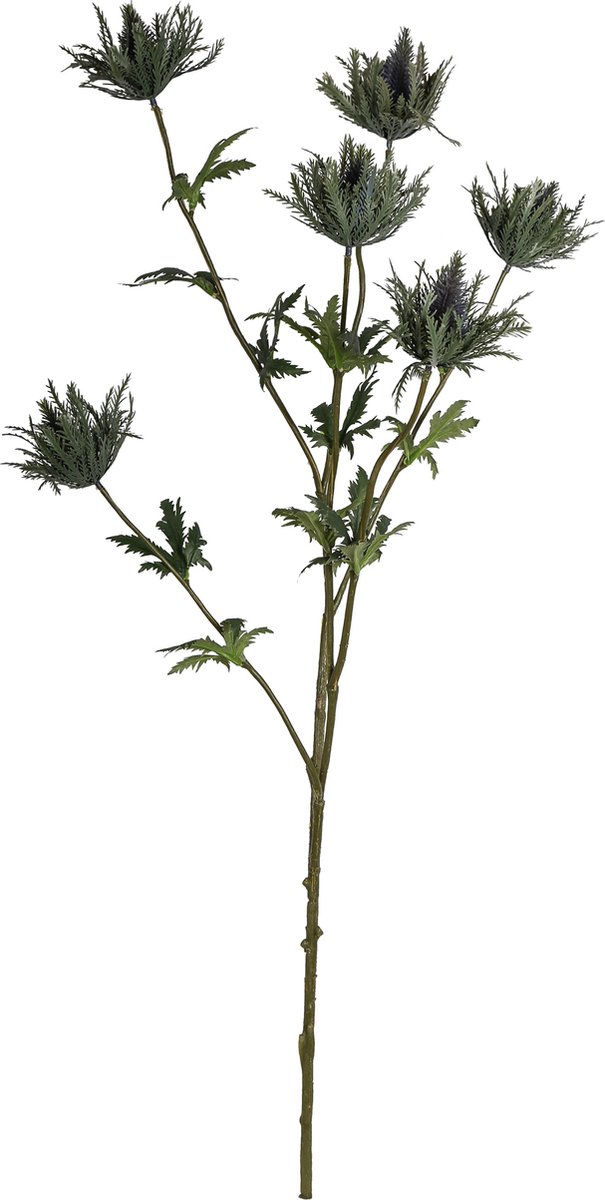 PTMD thistle plant groen distel spray met bladeren
