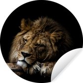 Papier peint Circle - Lion - Arbre - Marron - 100x100 cm XXL