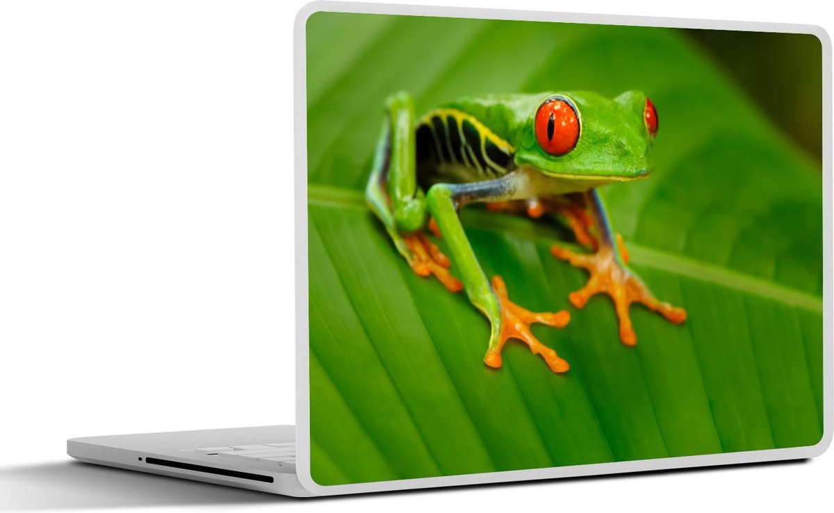 Afbeelding van product SleevesAndCases  Laptop sticker - 10.1 inch - Kikker - Blad - Groen