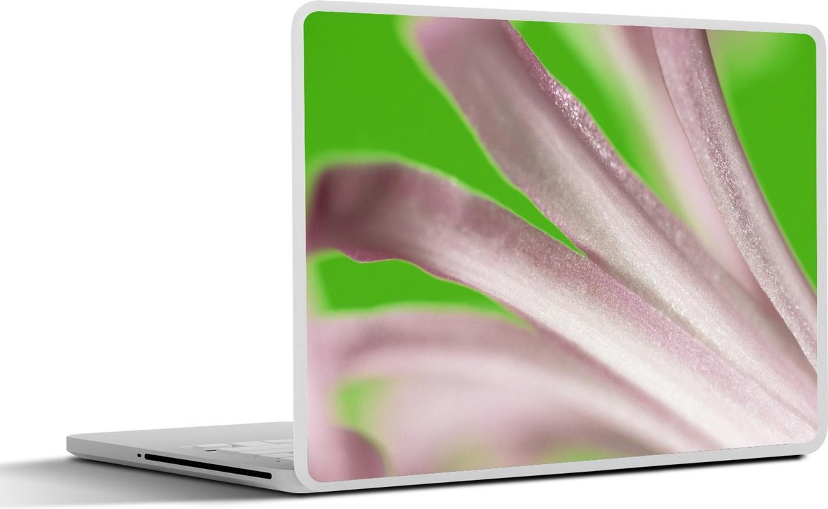 Laptop sticker - 15.6 inch - Close-up van een lichte nerine bloem