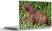 Laptop sticker - 12.3 inch - Een Capibara zittend op de rivieroever in het moerasgebied van Pantanal - 30x22cm - Laptopstickers - Laptop skin - Cover