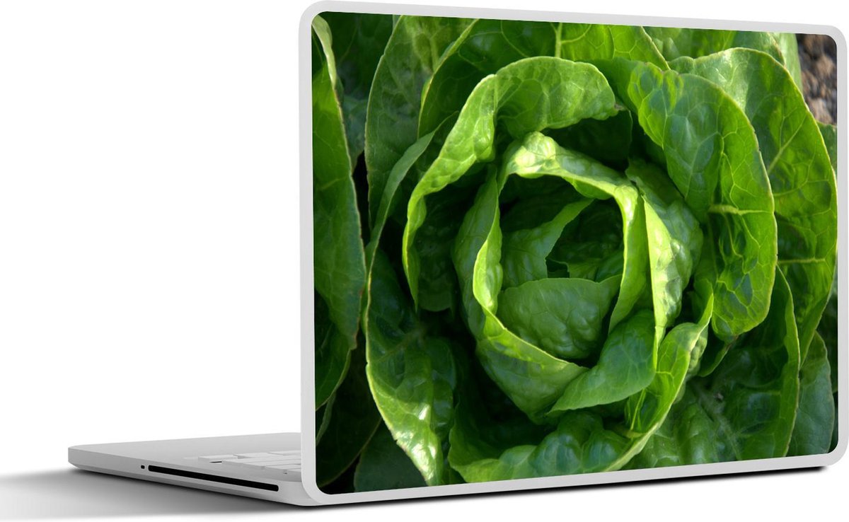 Afbeelding van product SleevesAndCases  Laptop sticker - 13.3 inch - Close-up van heerlijke groene sla