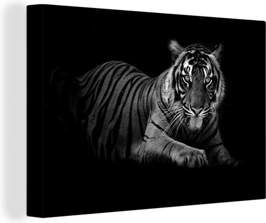 Canvas Schilderij Rustende Sumatraanse tijger - zwart wit - 60x40 cm - Wanddecoratie