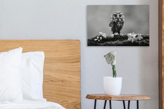 Peintures sur Toile - chouette - noir et blanc - 30x20 cm - Décoration murale