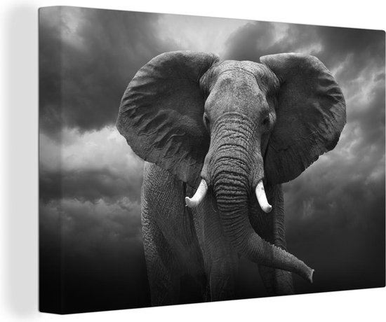 Canvas Schilderij Afrikaanse olifant tegen de donkere wolken - zwart wit - 60x40 cm - Wanddecoratie