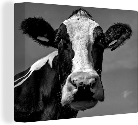 Canvas Schilderij Een Friese koe kijkt recht in de camera - zwart wit - 120x90 cm - Wanddecoratie