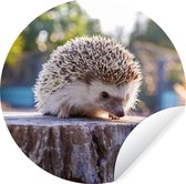 WallCircle - Stickers muraux - Cercle Papier Peint - Hérisson - Souche - Forêt - 120x120 cm - Cercle Mural - Auto Adhésif - Sticker Papier Peint Rond XXL