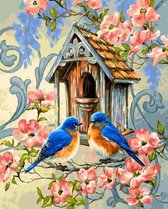 Dielay - Diamond Painting Pakket - Vogels bij Vogelhuisje - 40x30 cm - Complete Set - Volledige Bedekking - Ronde Steentjes