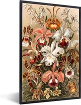 Fotolijst incl. Poster - Kamer decoratie aesthetic - Orchidee - Ernst Haeckel - Oude meesters - Kunst - Bloemen - Kamer decoratie tieners - Aesthetic room decor - 40x60 cm - Posterlijst