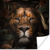 Affiche Animaux - Lion - Jungle - 100x100 cm XXL