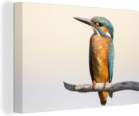 Canvas schilderij 140x90 cm - Wanddecoratie IJsvogel - Takken - Dieren - Muurdecoratie woonkamer - Slaapkamer decoratie - Kamer accessoires - Schilderijen