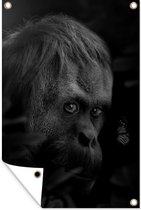 Muurdecoratie Close-up van een aap in de jungle - zwart wit - 120x180 cm - Tuinposter - Tuindoek - Buitenposter