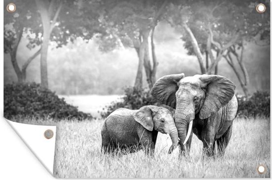 Muurdecoratie Baby olifant met haar moeder in zwart-wit - zwart wit - 180x120 cm - Tuinposter - Tuindoek - Buitenposter
