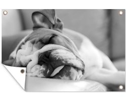 Tuinposter - Tuindoek - Tuinposters buiten - Engelse bulldog slaapt op de bank - zwart wit - 120x80 cm - Tuin