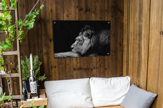 Affiches de jardin Posters de jardin Représentation d'un lion en forme de dessin - noir et blanc - 90x60 cm - Toile de jardin
