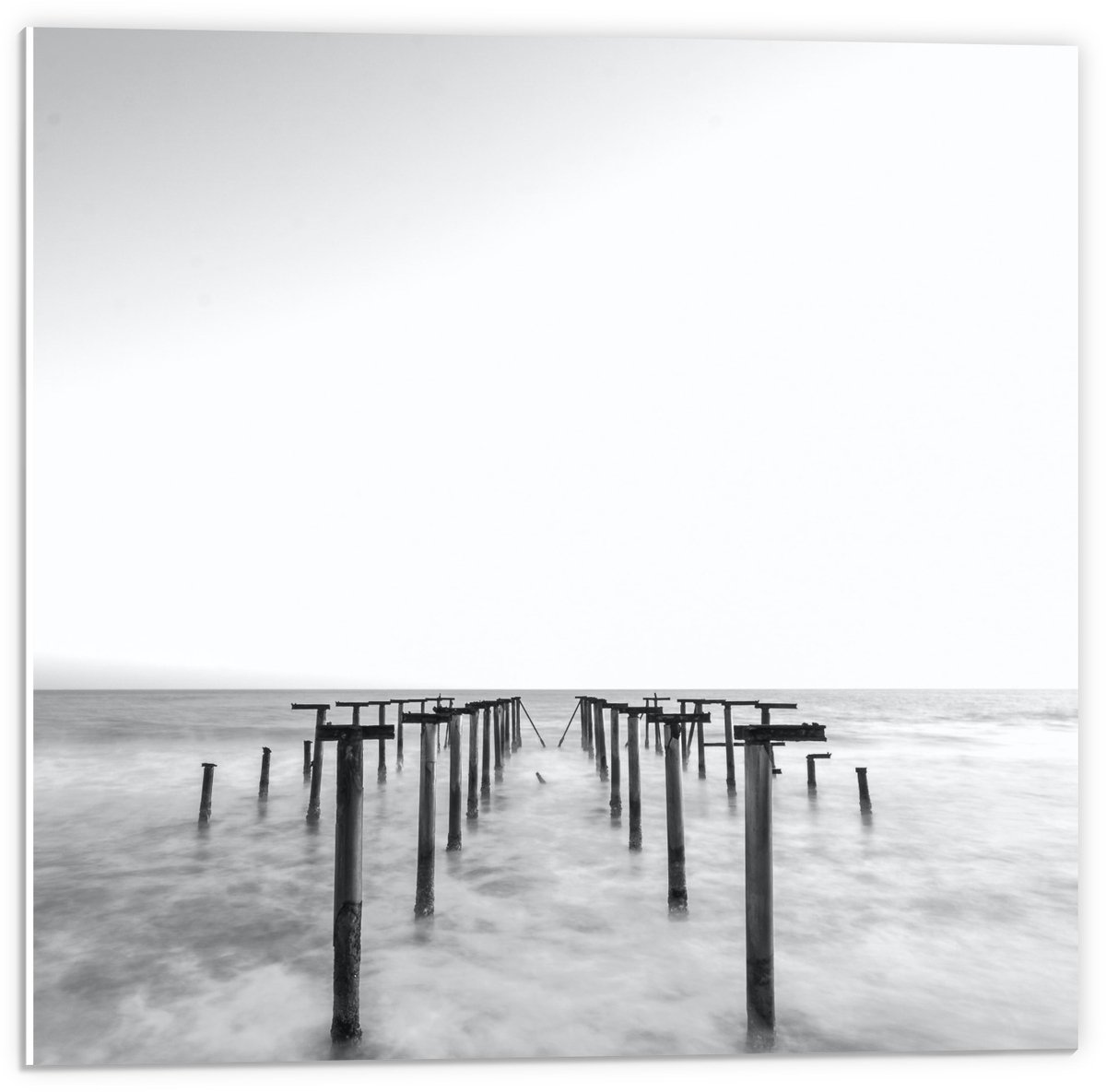 Forex - Palen in het Water Zwart - Wit - 50x50cm Foto op Forex