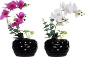 Decoratieve Bloem DKD Home Decor Schuim Keramisch Ijzer (2 pcs)