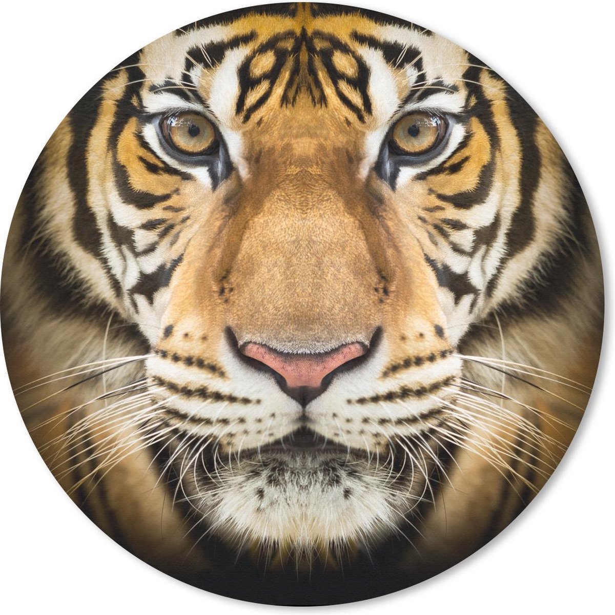 Muismat rond 20x20 cm - Mousepad Tijger - Dier - Portret - Ronde muismatten