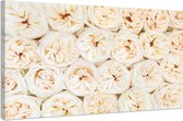 Schilderij -Mooie verse rose en witte rozen, 100x70cm. Premium print