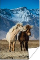 Poster Paarden - Bergen - Gras - 60x90 cm