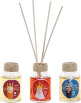 Parfum Sticks DKD Home Decor 3 Wijzen (30 ml) (3 pcs)