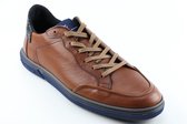 Floris van Bommel SFM-10011 -23-02 / Terri 01.24 COGNAC