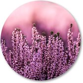 Lavendel in een lavendelveld - Muurcirkel Forex 50cm - Wandcirkel voor binnen - Natuur - Bloemen