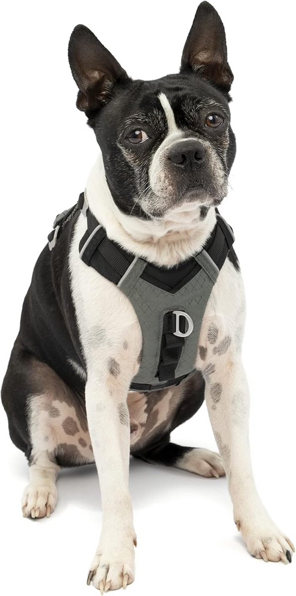 Hondenharnas voor veilige en comfortabele reis, gevoerd borstdeel, stevige teruggreep, geschikt voor honden 2-5 kg, maat XS, zwart/grijs