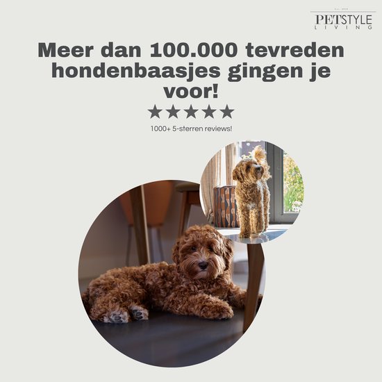 Een bruine, krulharige hond ligt op een donkere vloer. Een tweede cirkelvormige afbeelding toont dezelfde hond staand bij een raam.